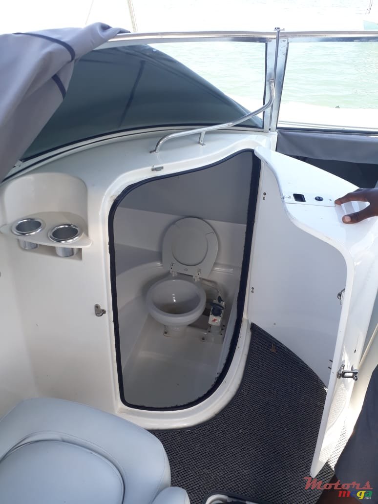 2016' Sunsation photo #2