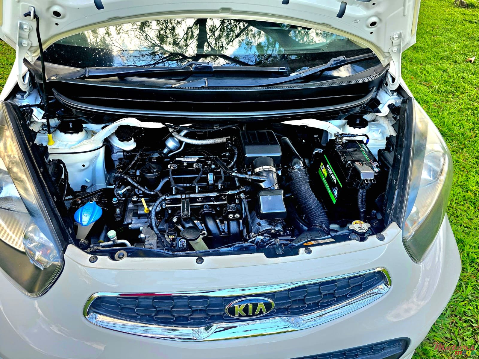 2016' Kia Picanto photo #7