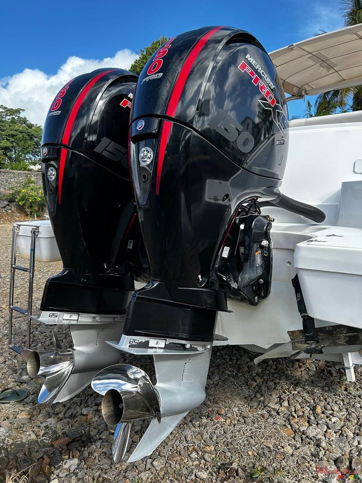 2021' Focus Focus 28 photo #3