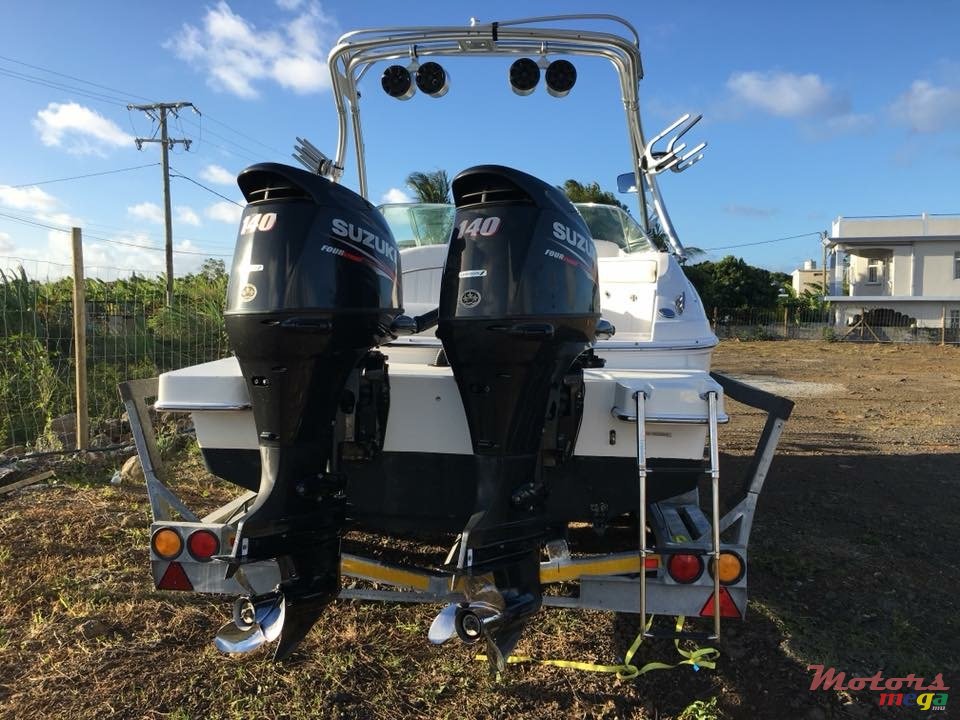 2013' Sunsation photo #2