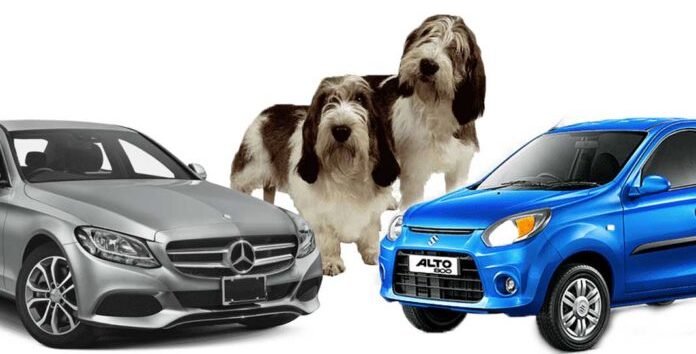 Quatre-Bornes : on lui vole sa Mercedes, sa Suzuki Alto et même… ses chiens