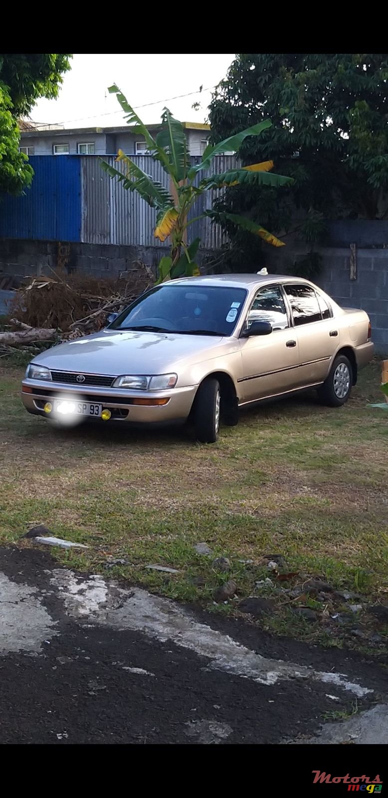 1993' Toyota Corolla photo #3