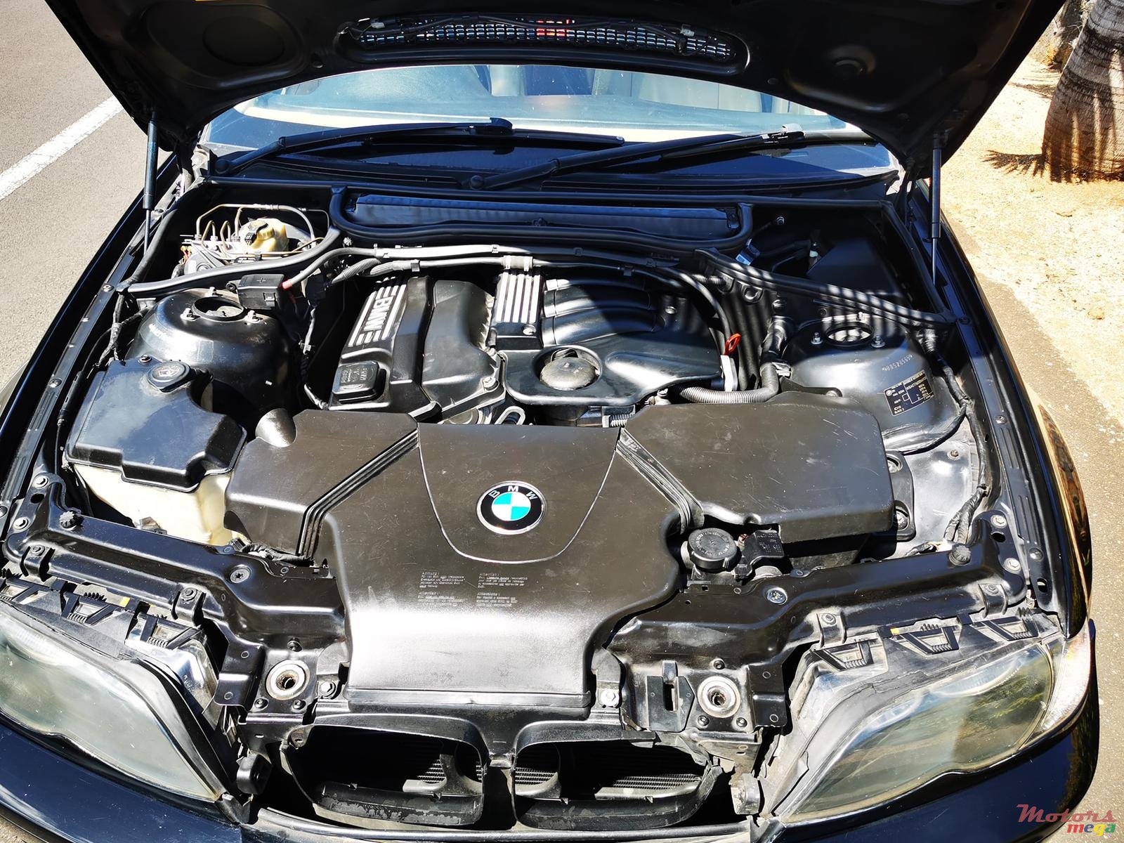 2004' BMW 318 i photo #5