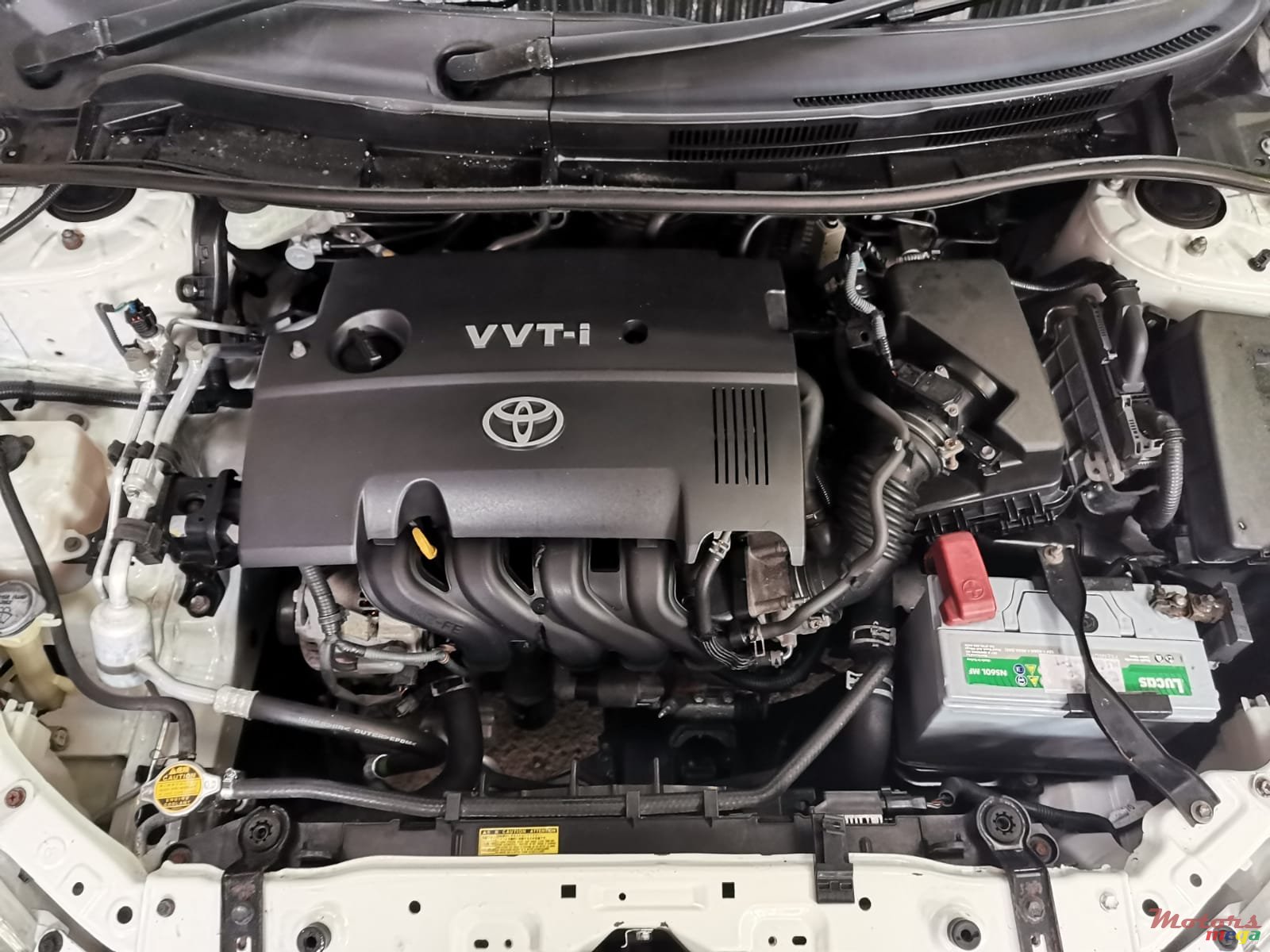 2008' Toyota Axio photo #7