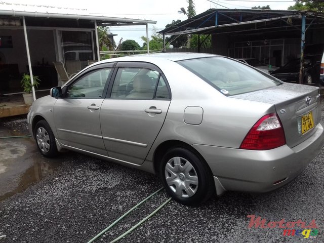 2004' Toyota Corolla NZE photo #4