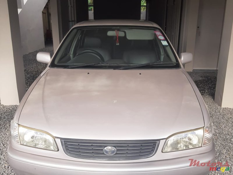 1999' Toyota Corolla photo #1