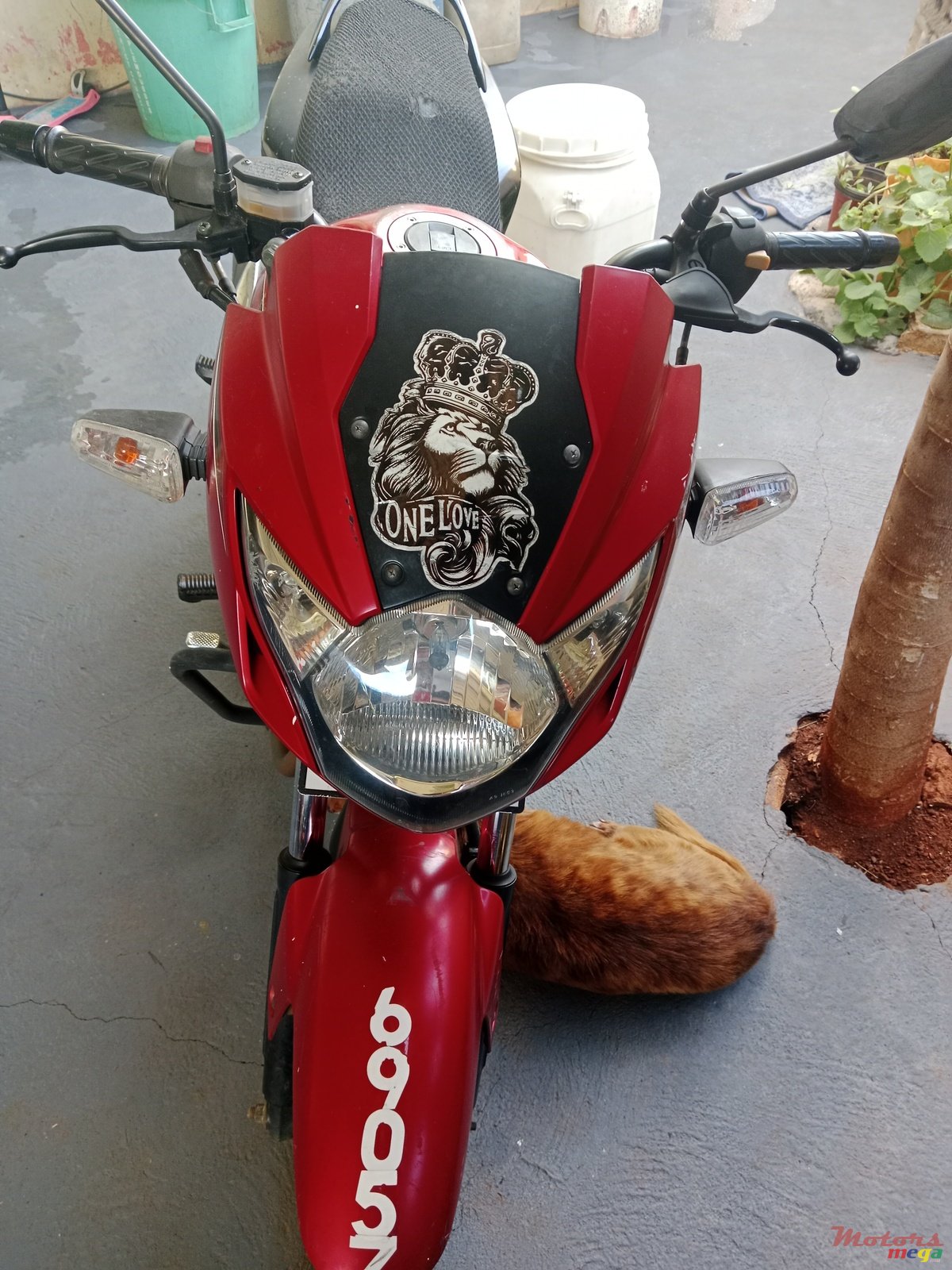 2014' Suzuki photo #1