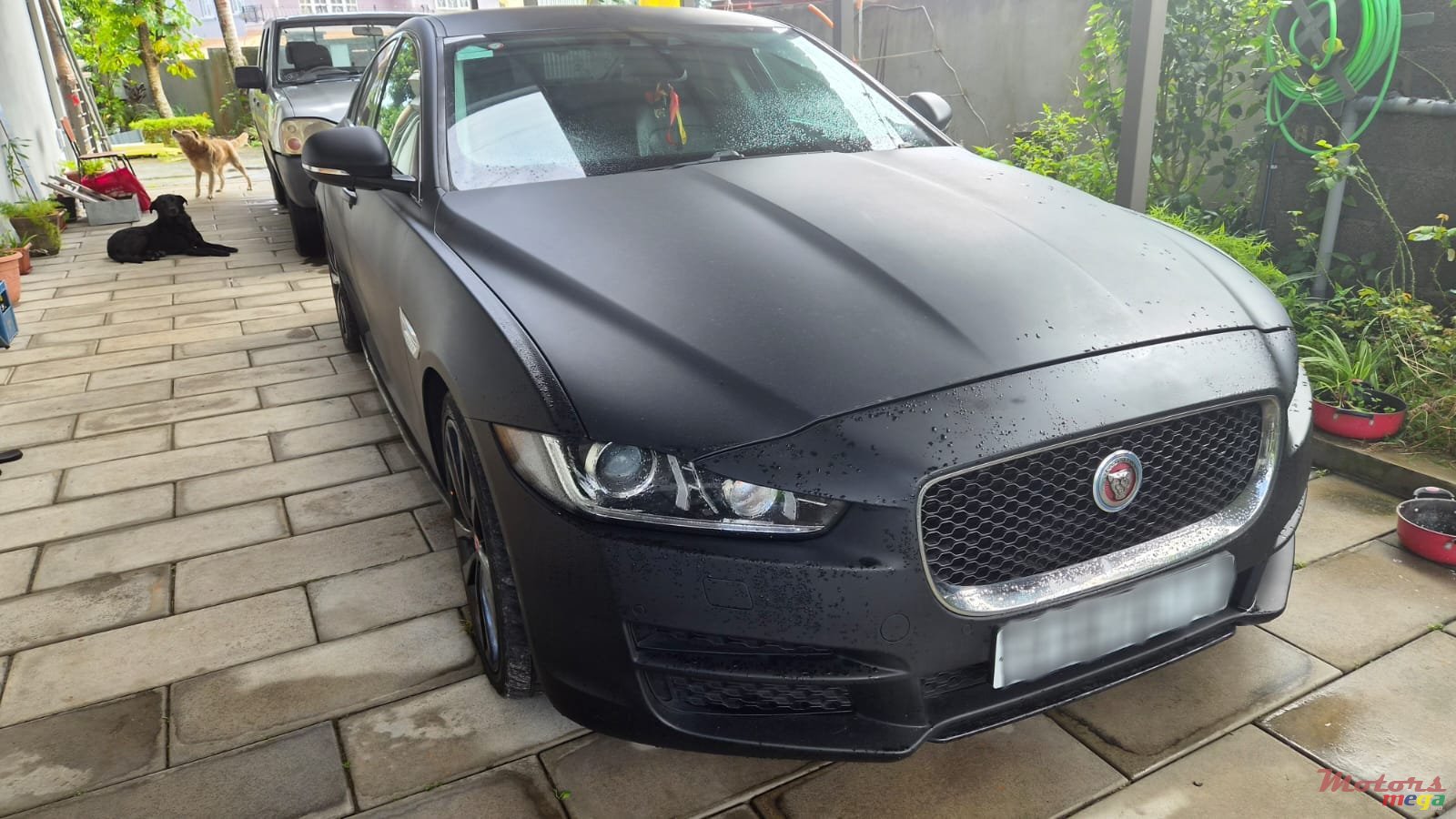 2017' Jaguar XE photo #1