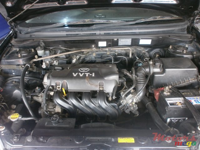 2002' Toyota Corolla photo #7