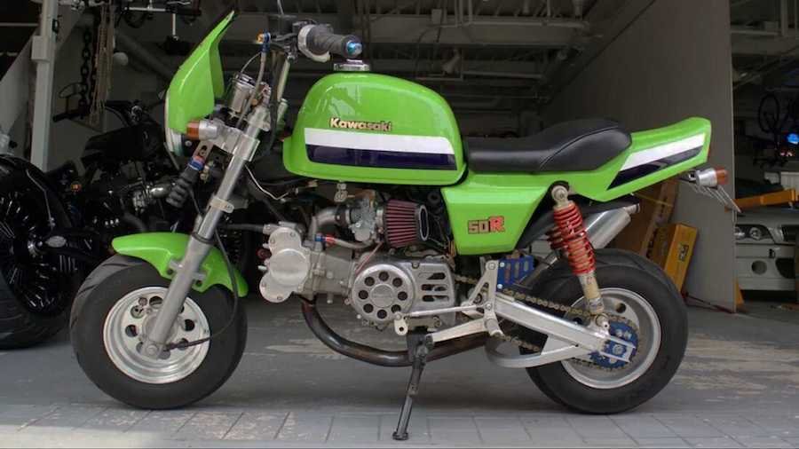 Honda Monkey Does Best Kawasaki Eddie Lawson Replica Impression