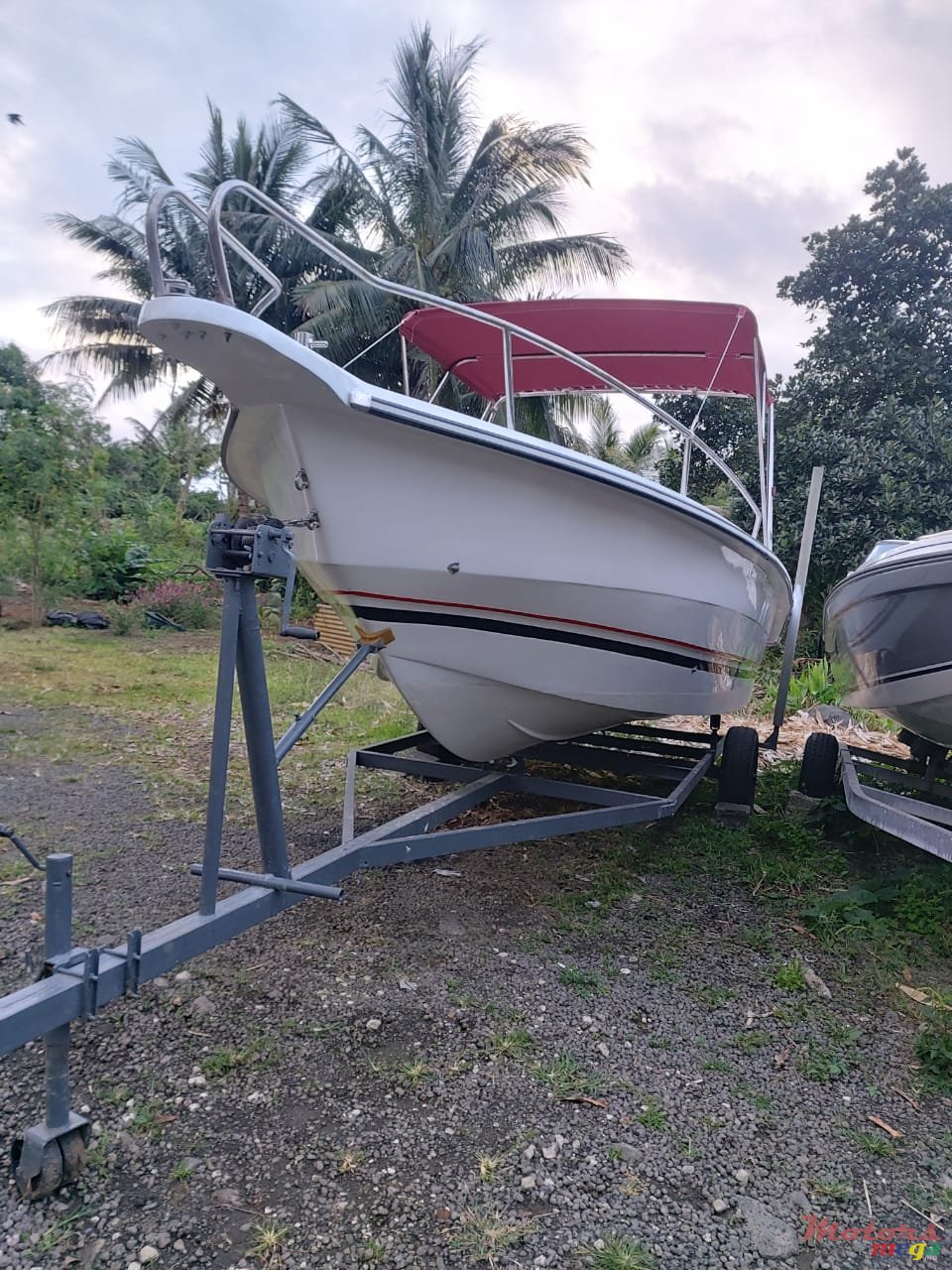 2008' Pro Sport photo #7