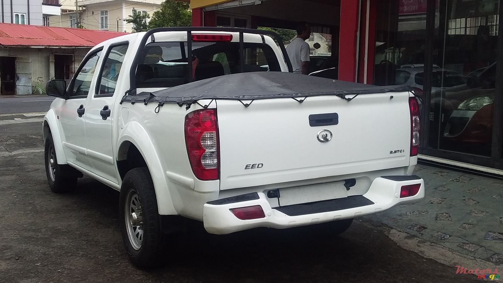 2013' GWM Steed photo #4