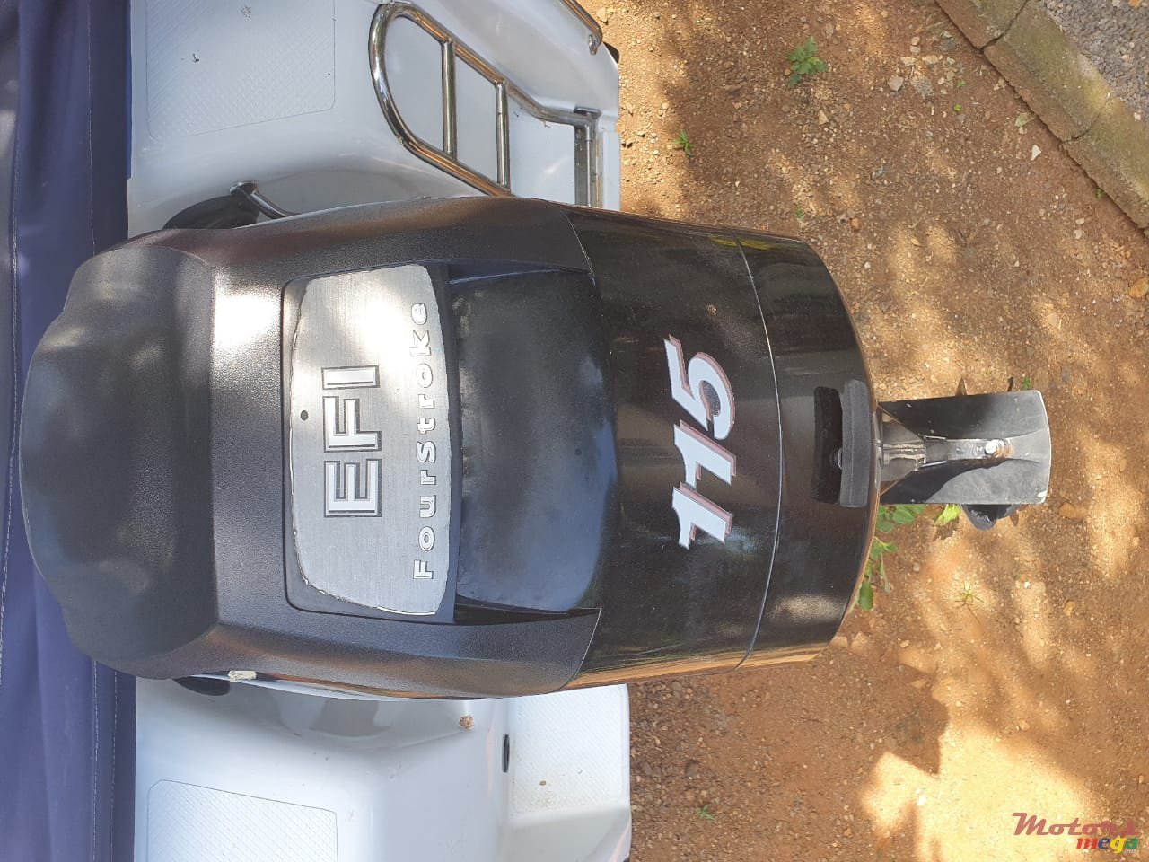 2013' Cobra photo #3