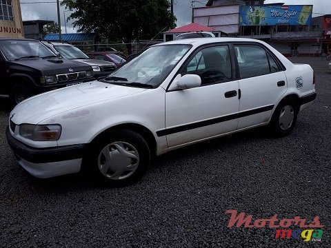 1996' Toyota Corolla photo #1