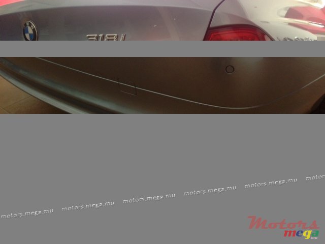 2010' BMW 3 Series 318 i photo #4