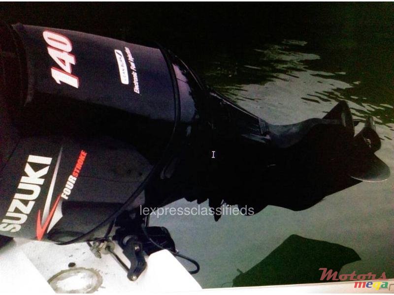 2009' SeaCraft photo #4