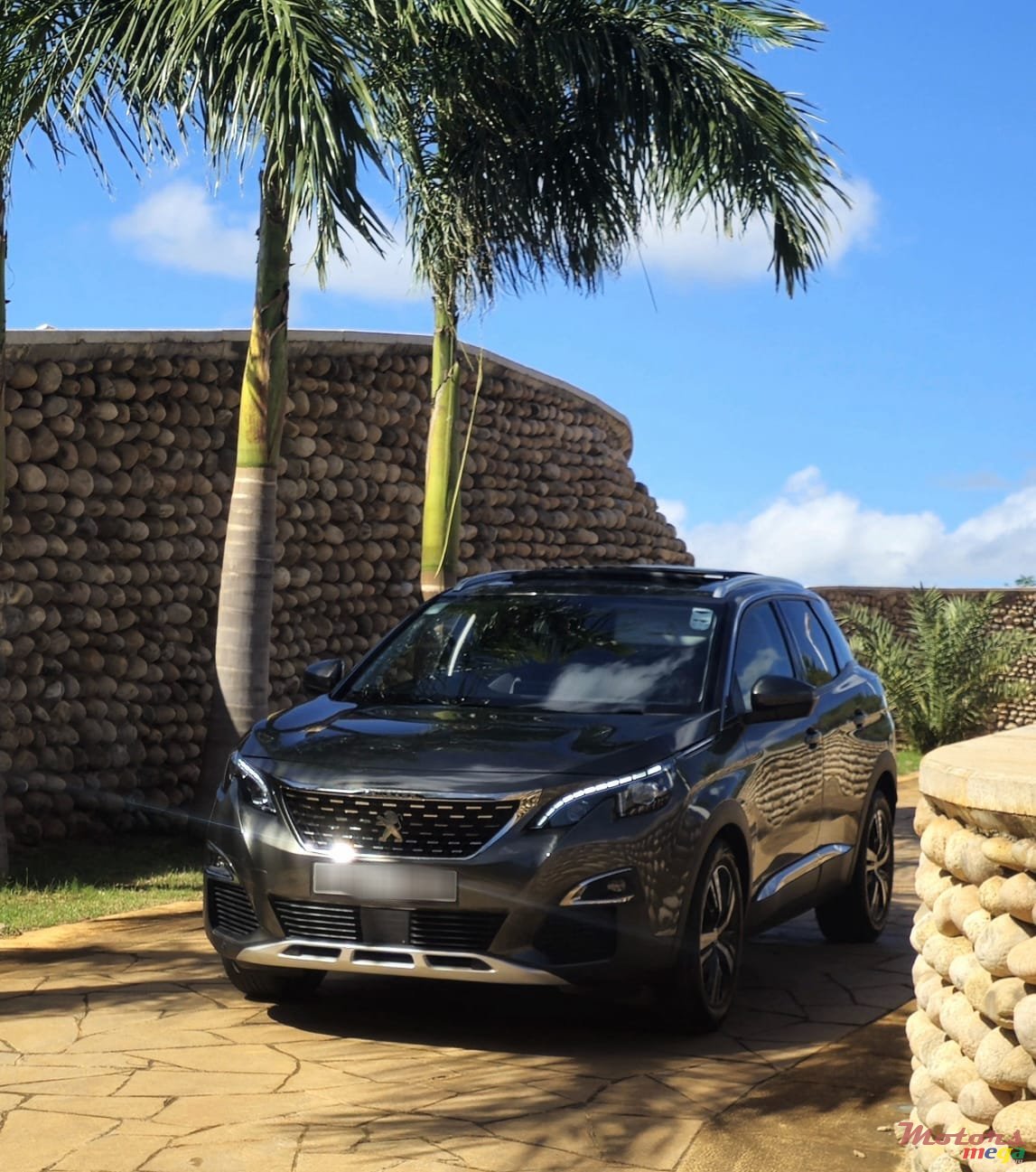 2019' Peugeot 3008 photo #1