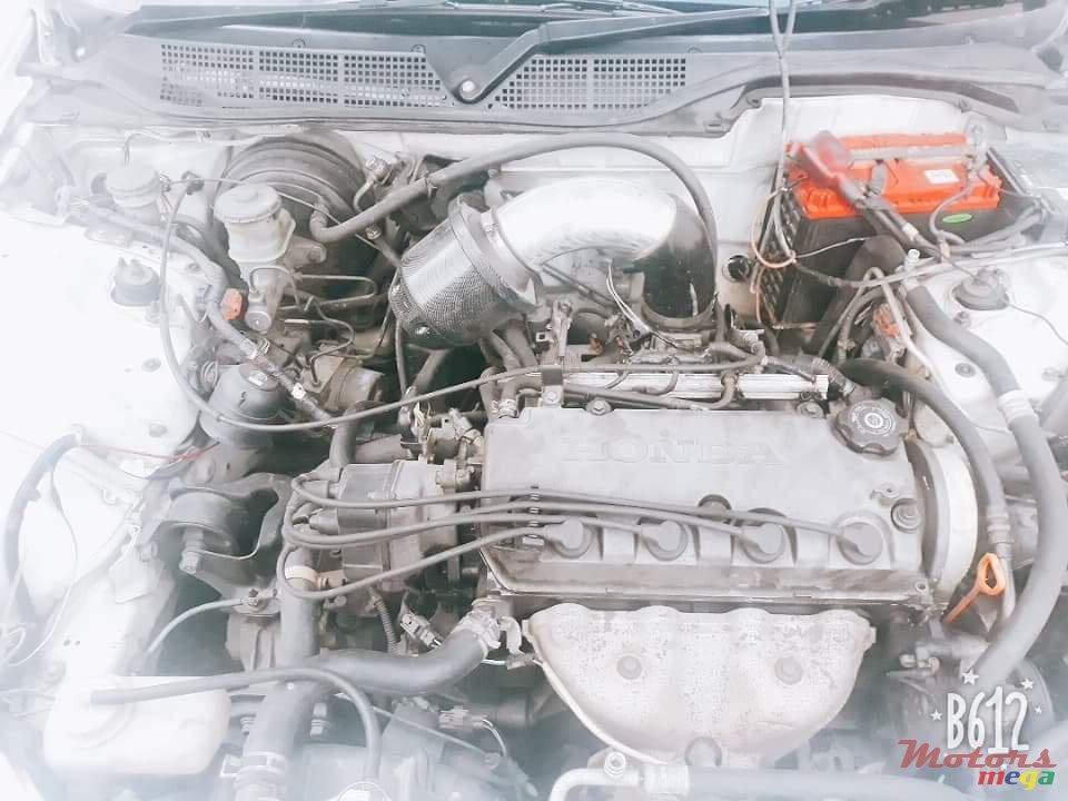 2000' Honda Passport photo #2