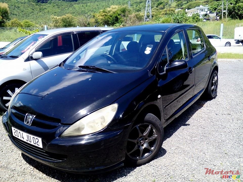 2002' Peugeot 307 HDI photo #1