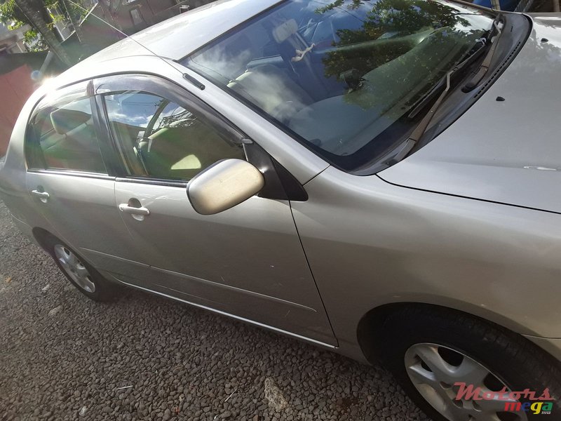 2002' Toyota Corolla NZE photo #2