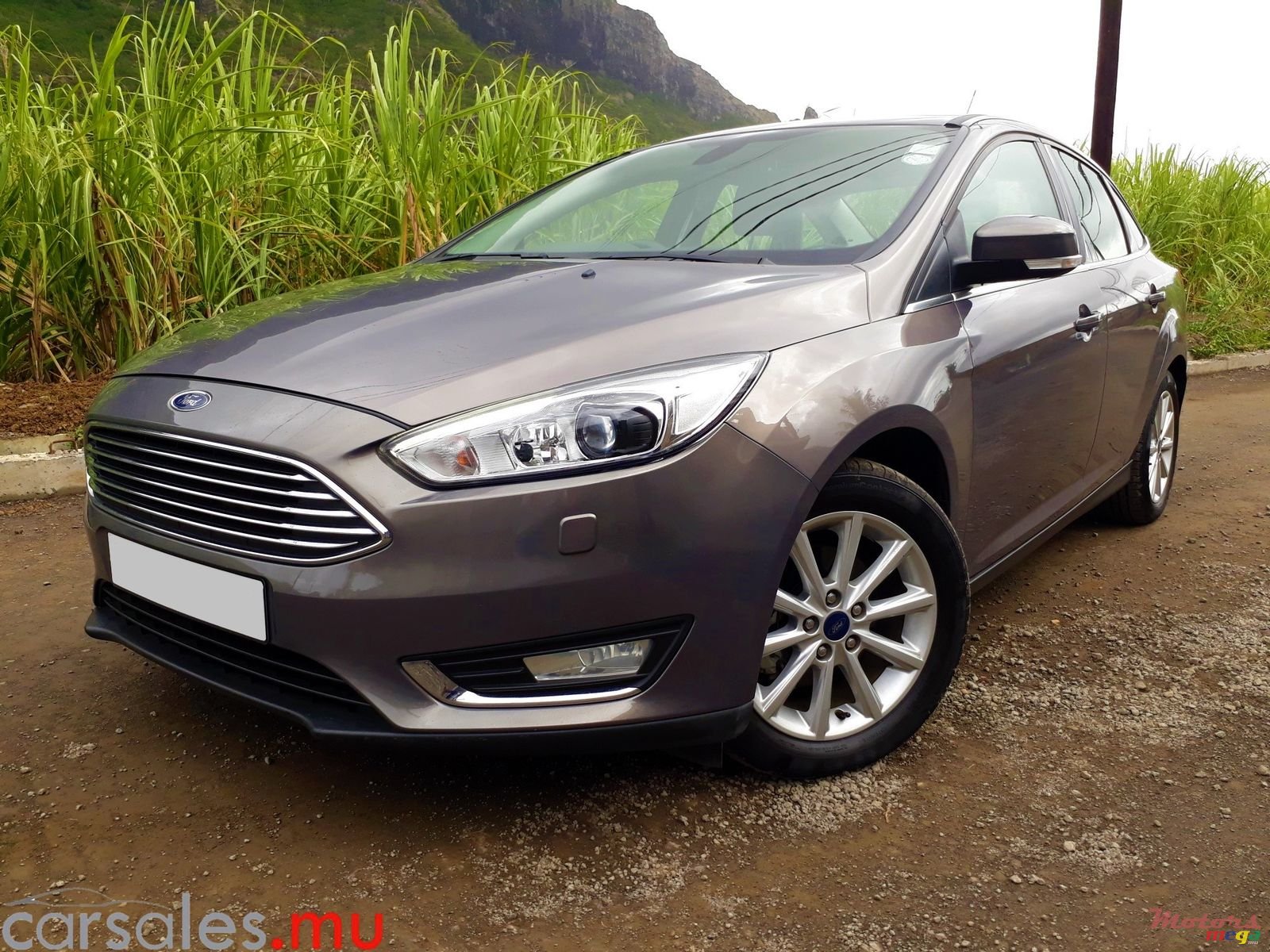 2015' Ford Focus 1.6 Titanium photo #2