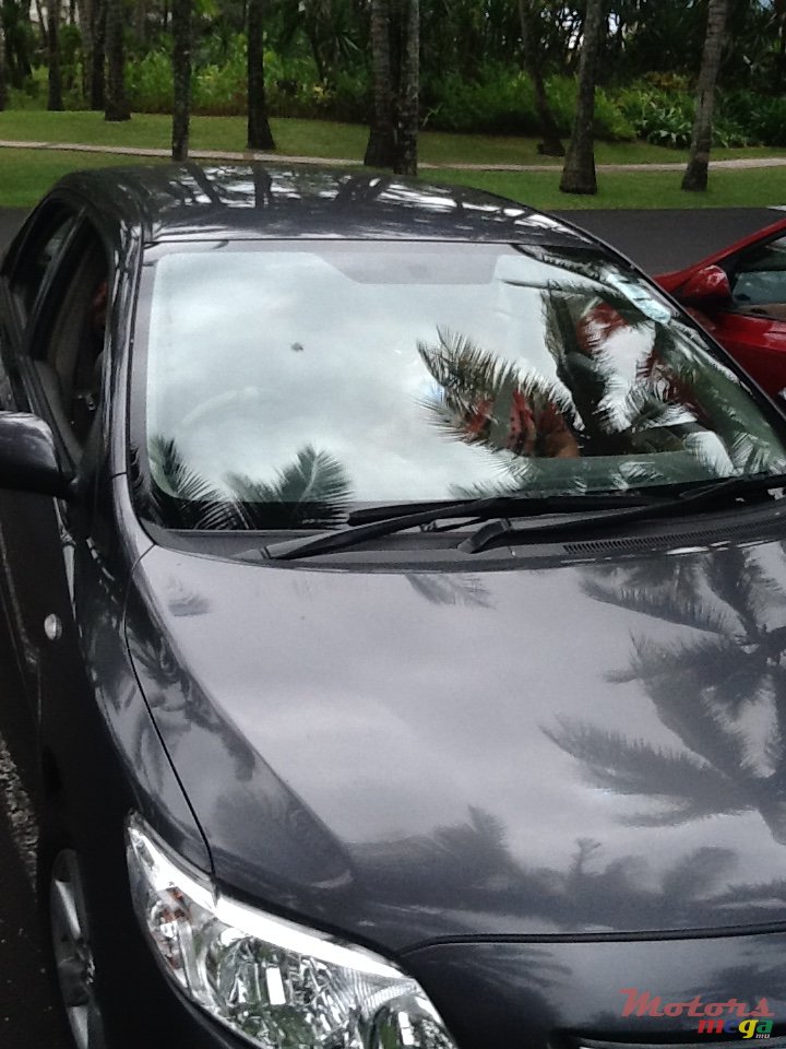 2009' Toyota Corolla photo #1