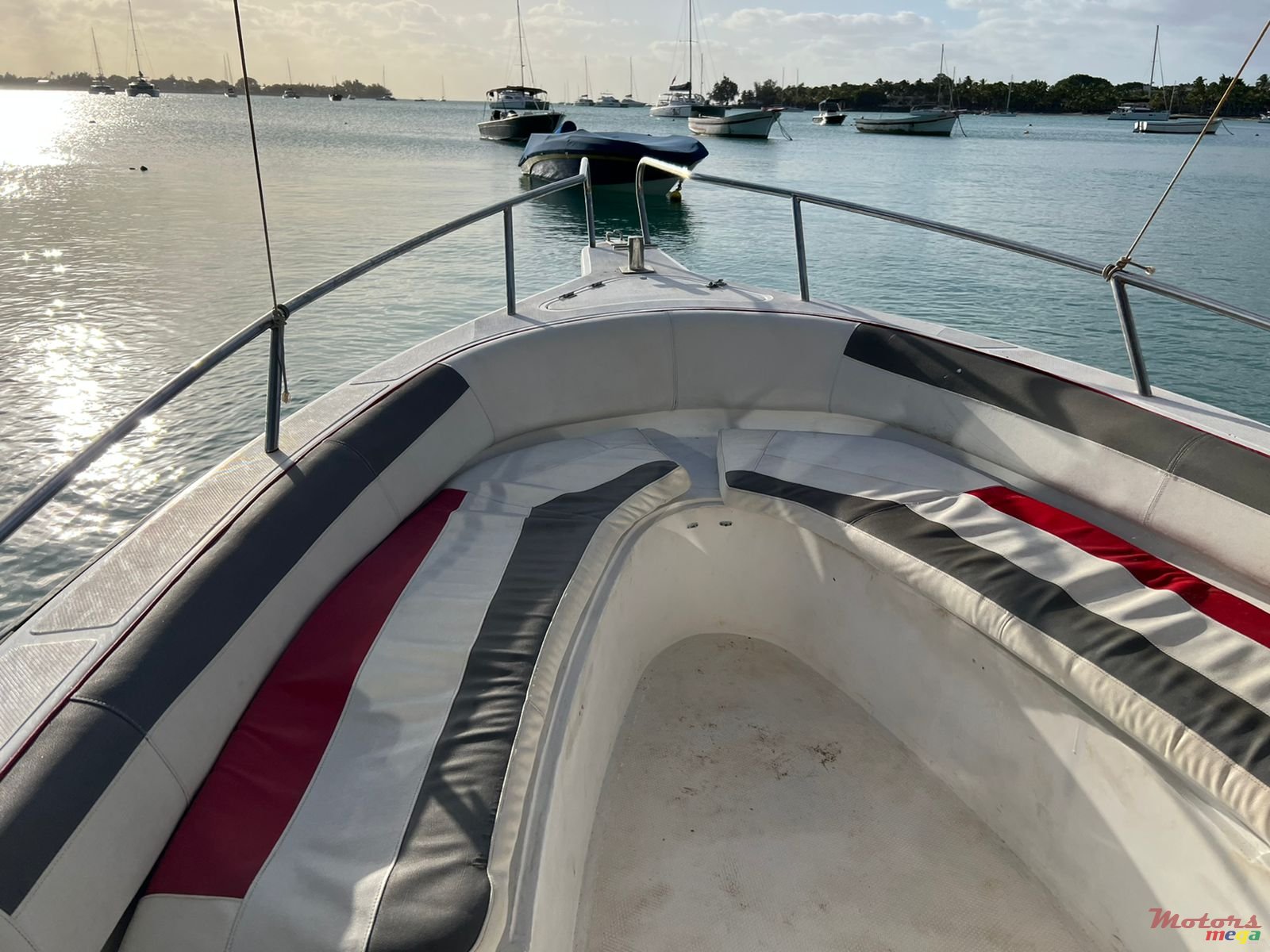 2009' Pro Marine photo #5