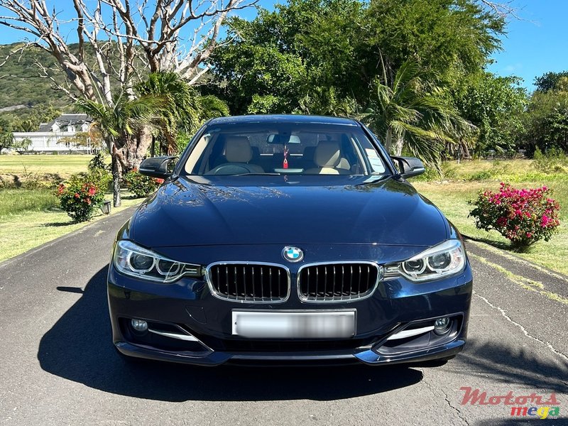 2013' BMW 316 photo #1