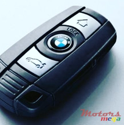 2011' BMW 316 Dorigine photo #1