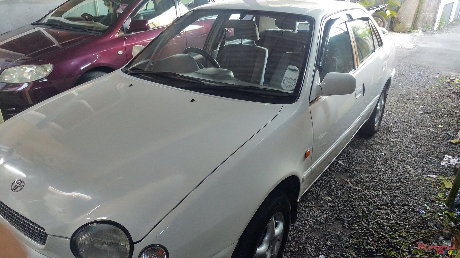 1998' Toyota Corolla photo #2