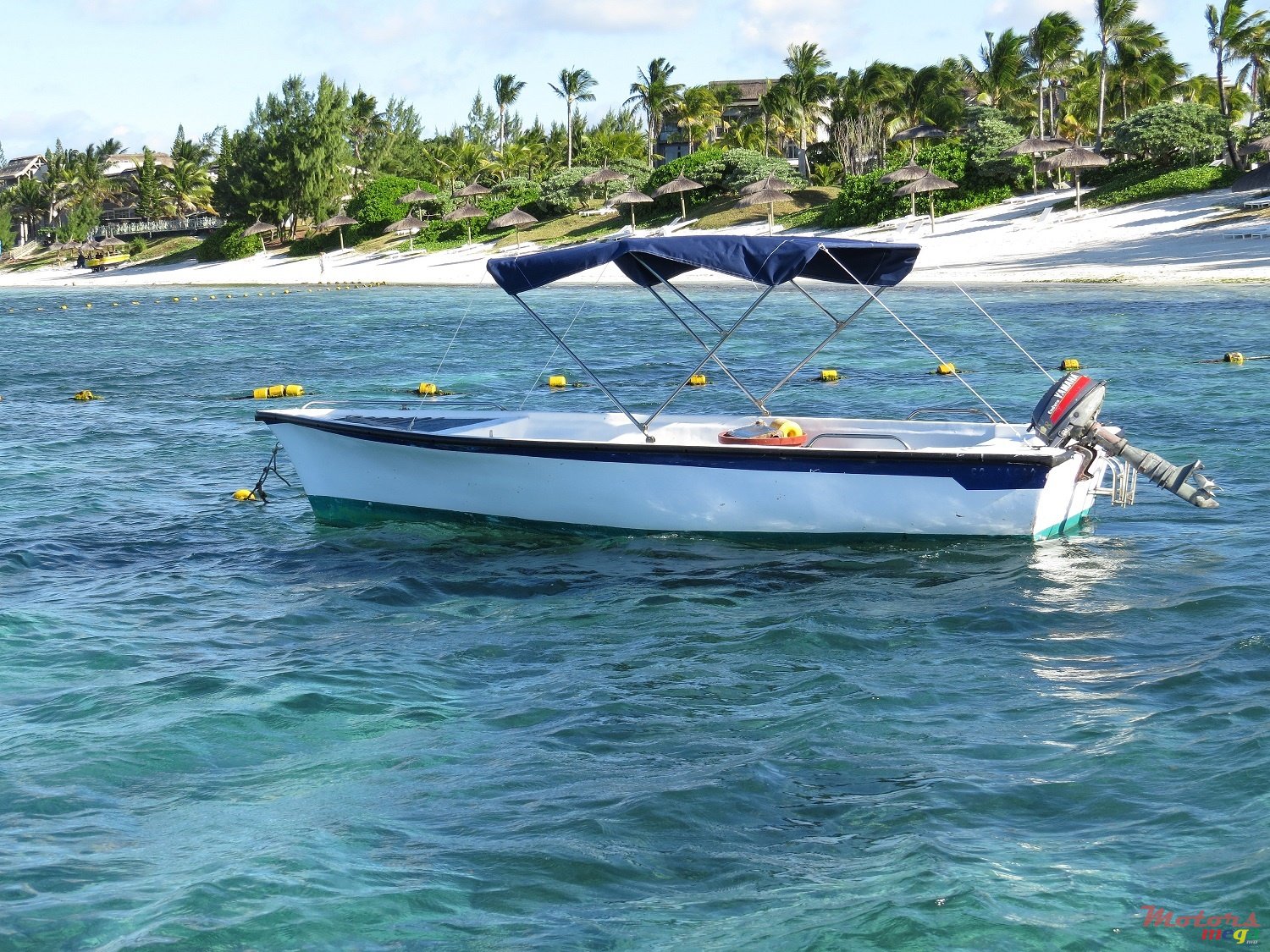 2000' Pelican photo #1