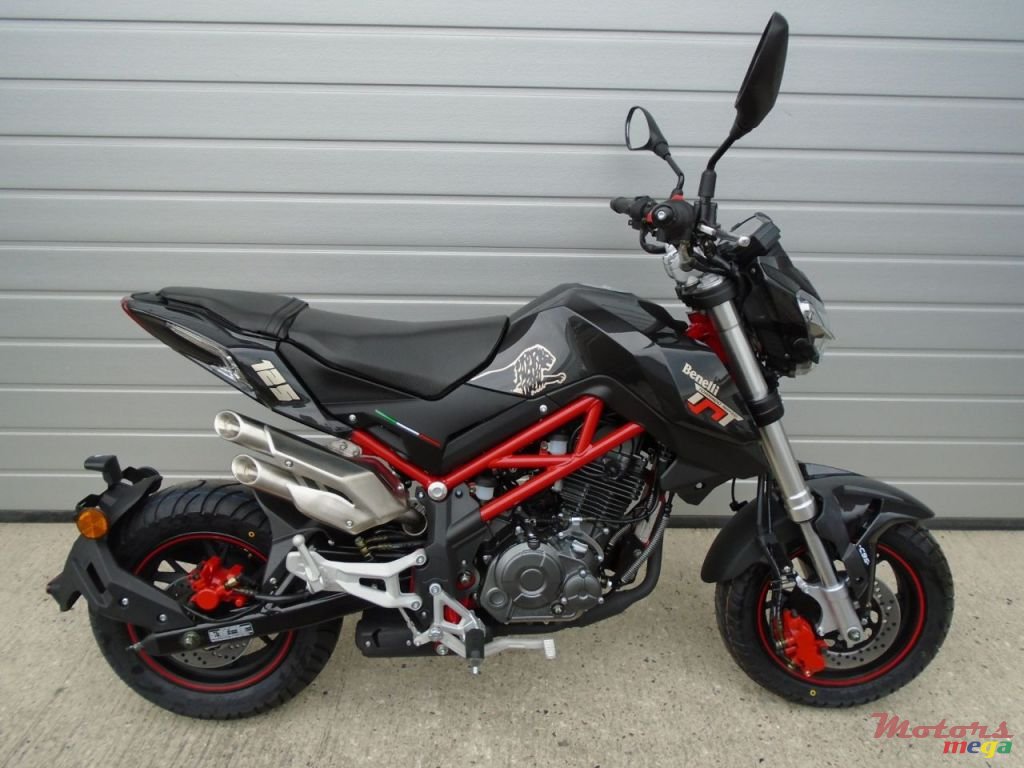 2019' Benelli photo #1