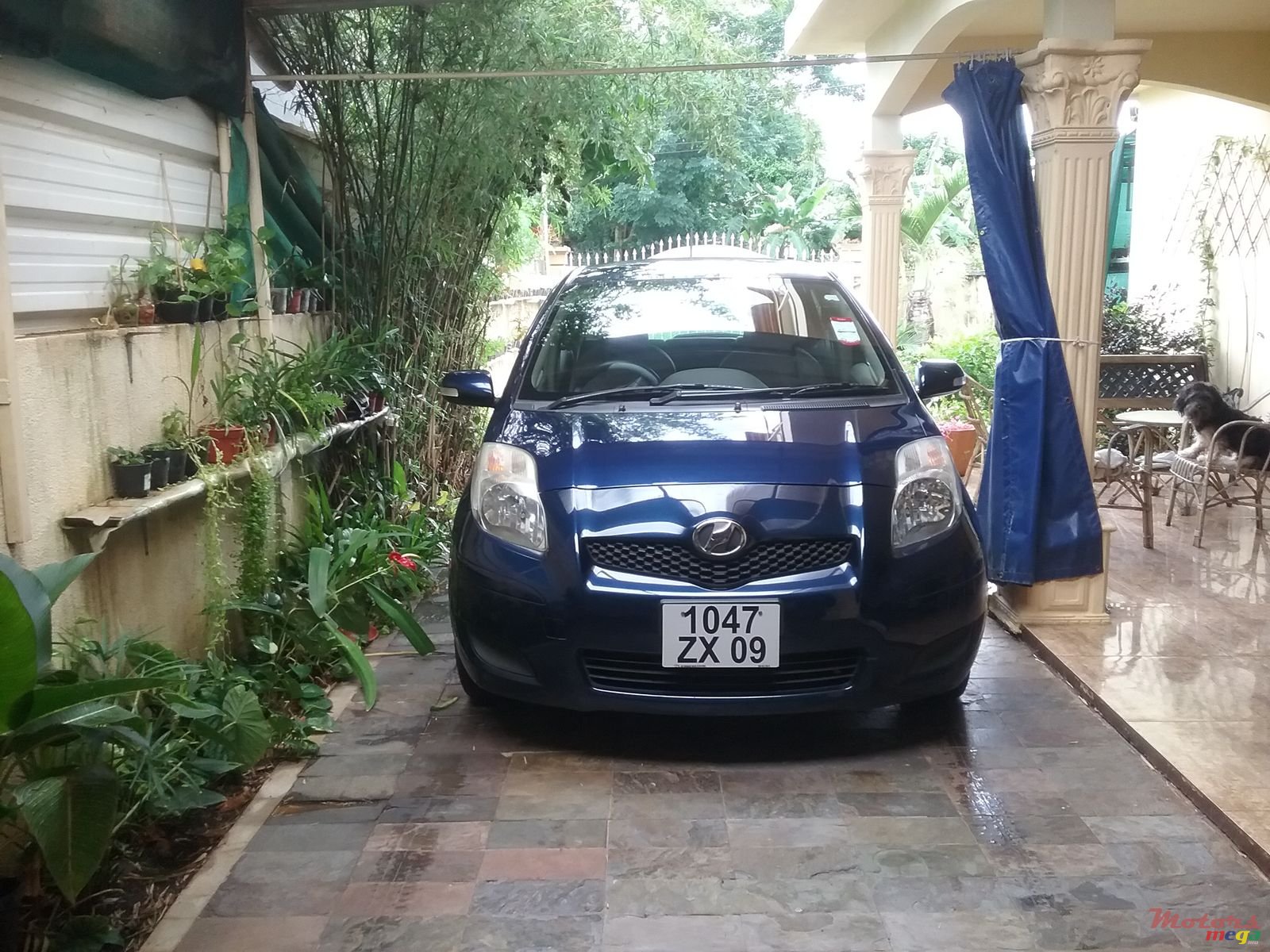 2009' Toyota Vitz photo #1