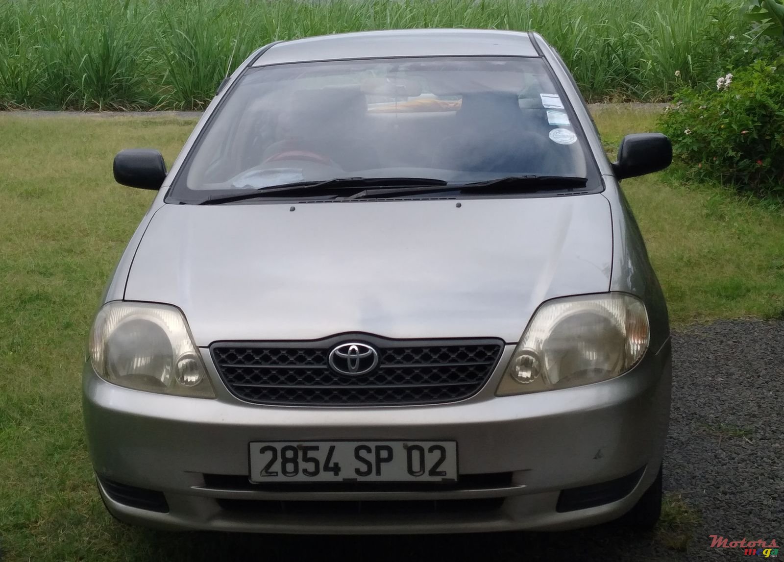 2002' Toyota Corolla photo #1