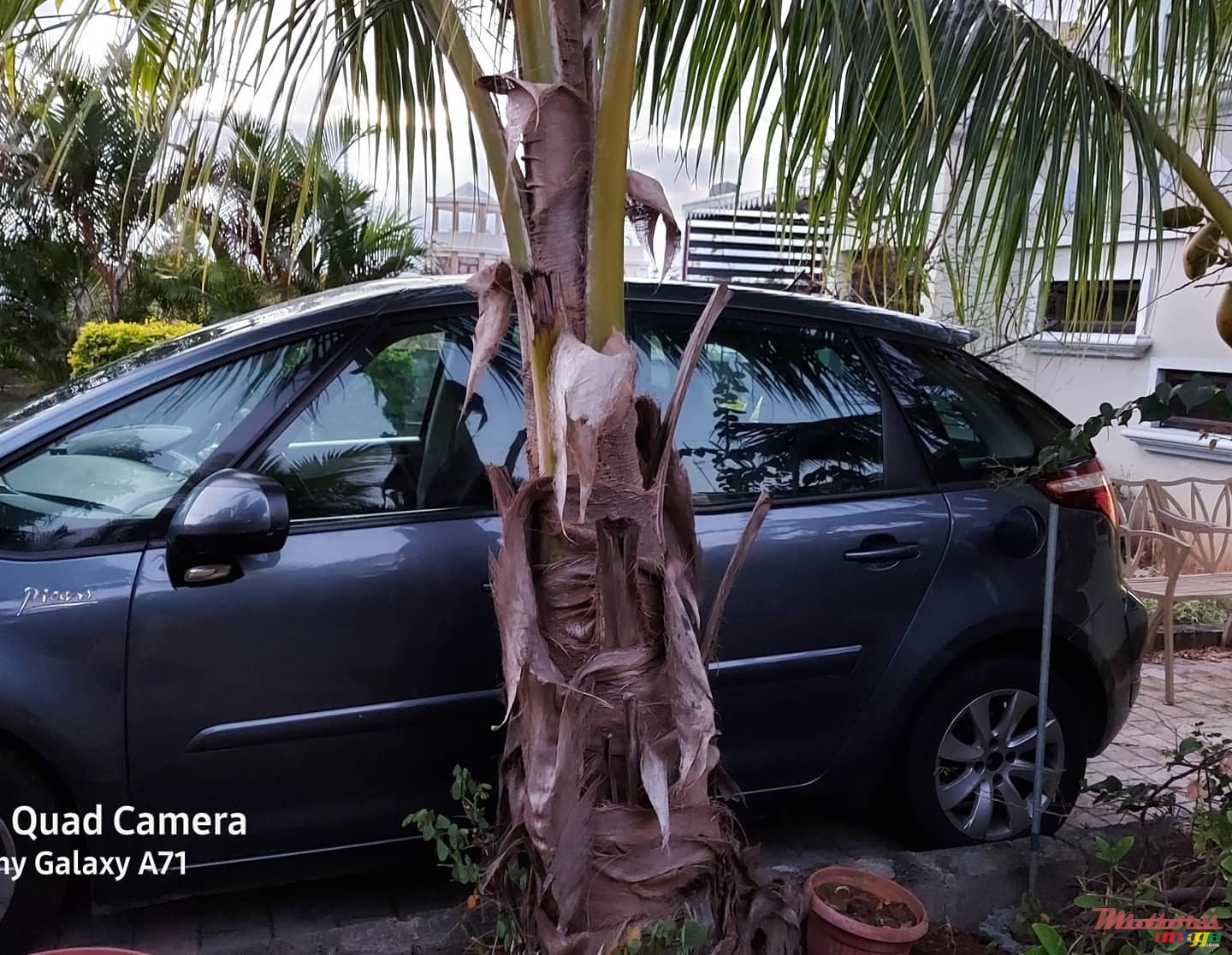 2011' Citroen C4 Picasso dorigine photo #4