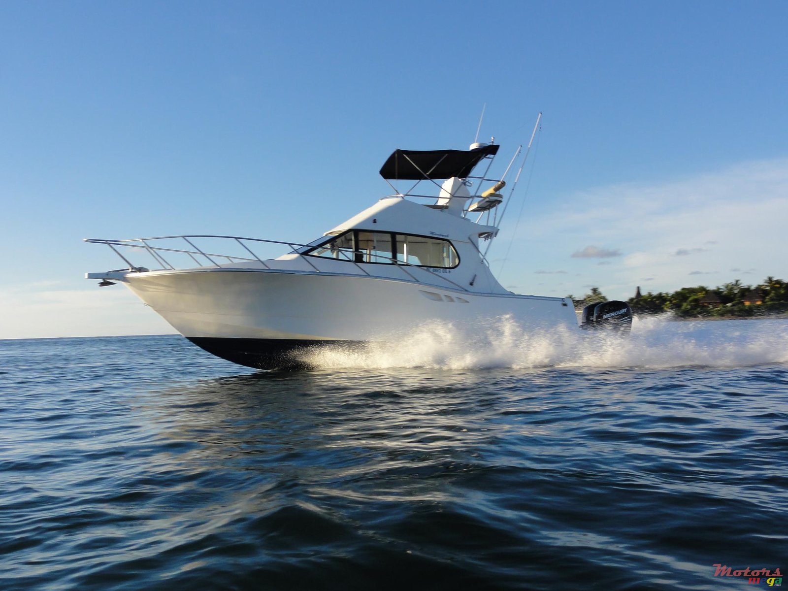 2009' Legend photo #1