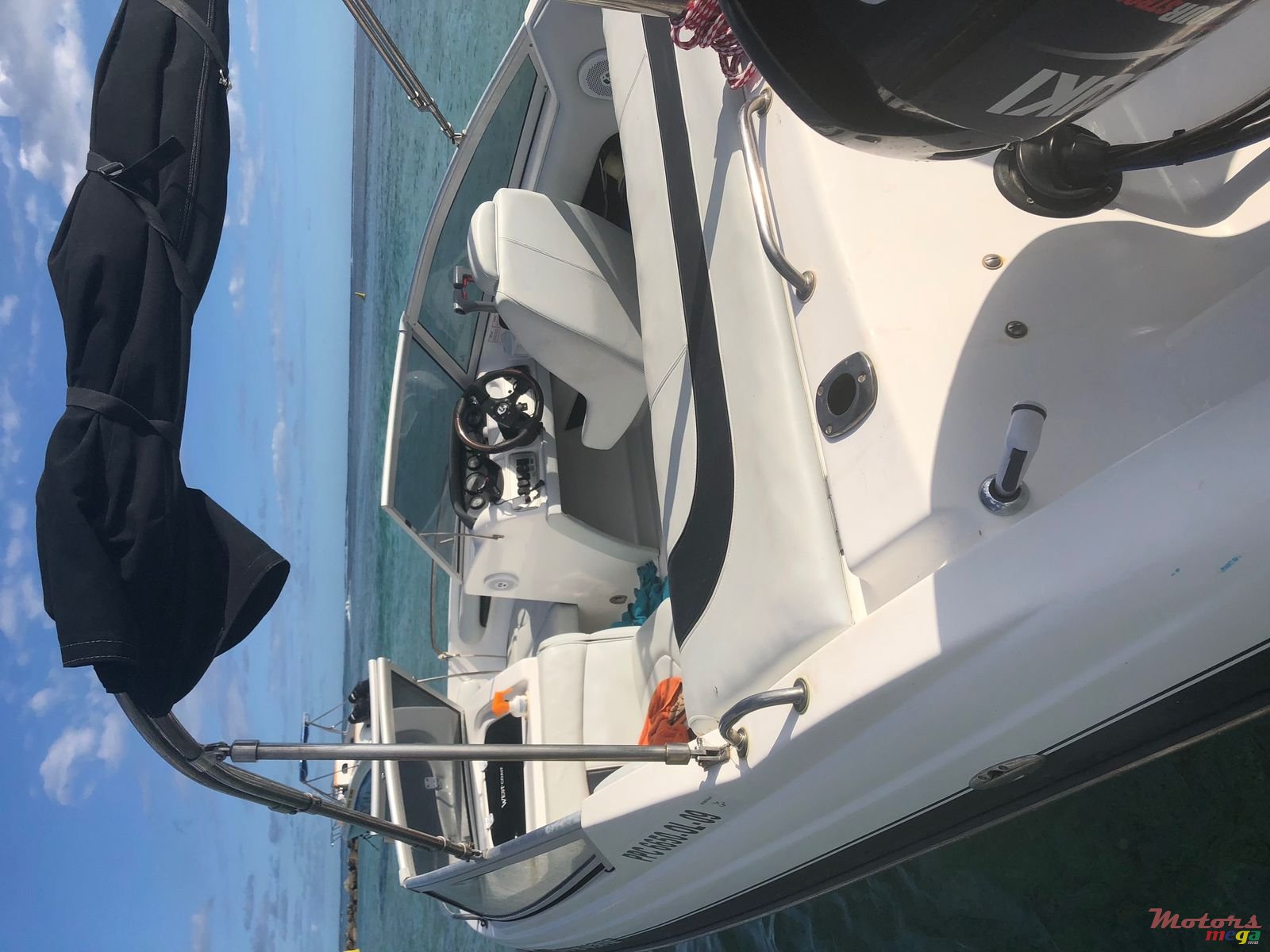 2014' Alfamarine photo #1