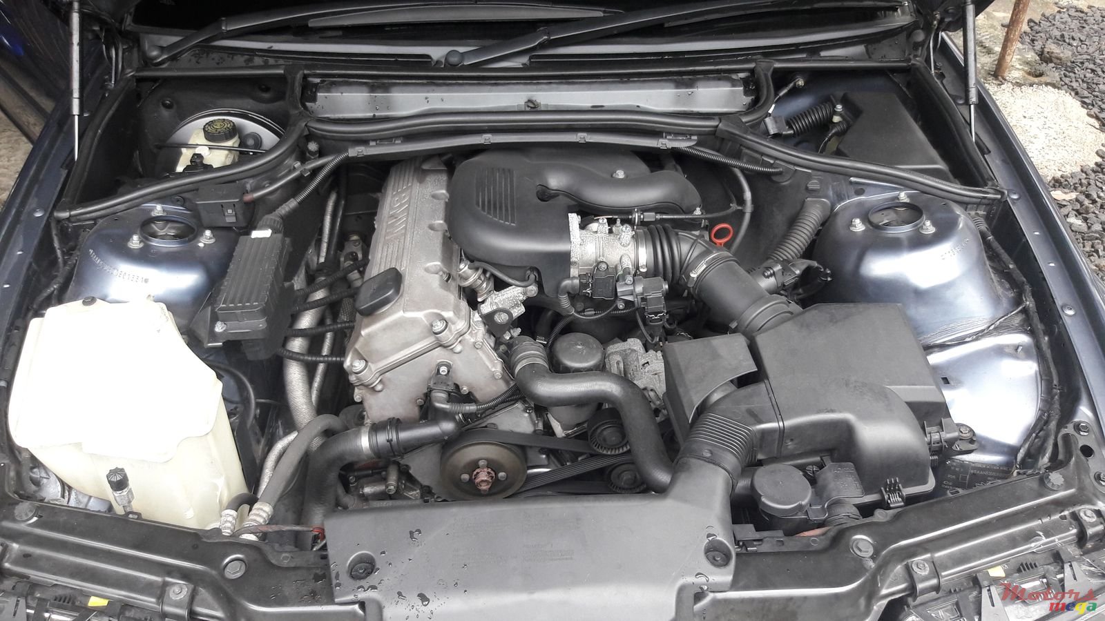 1999' BMW 318 photo #4