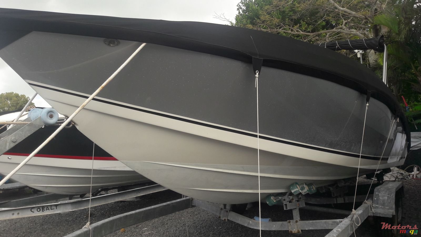 2016' Cobra photo #1