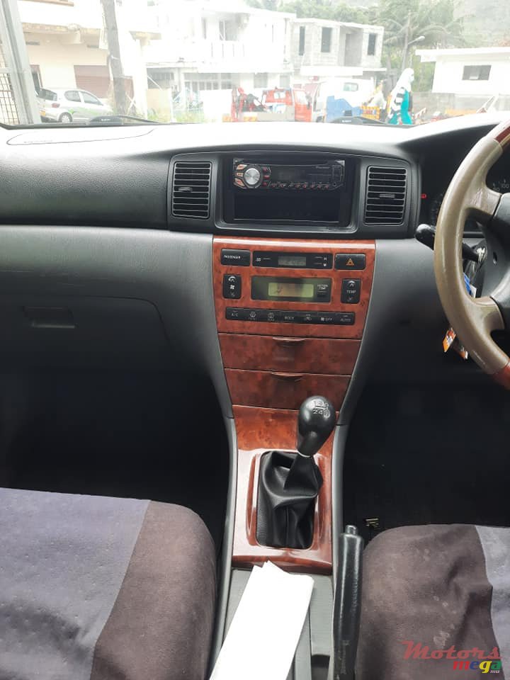 2003' Toyota Corolla NZE photo #5