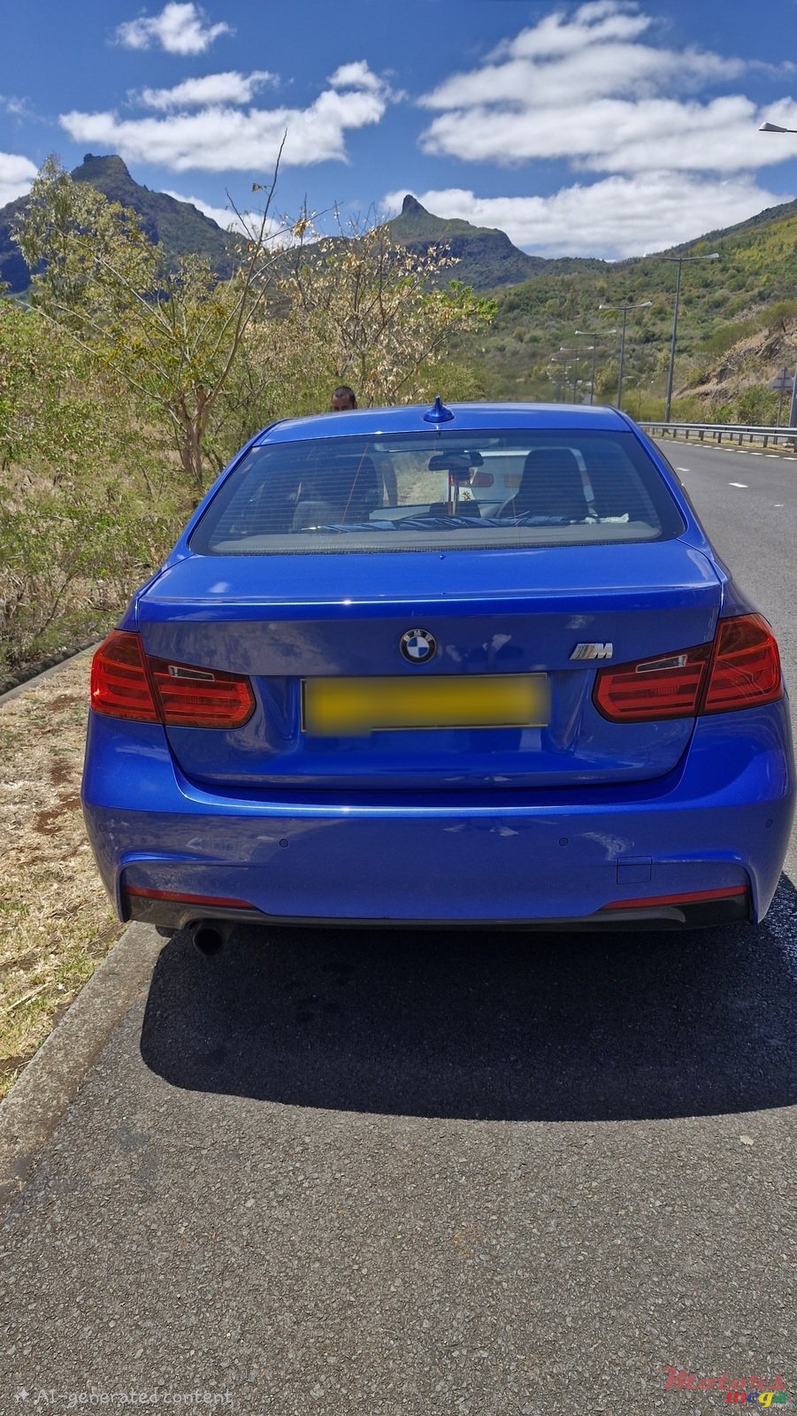 2014' BMW 3 Series photo #3