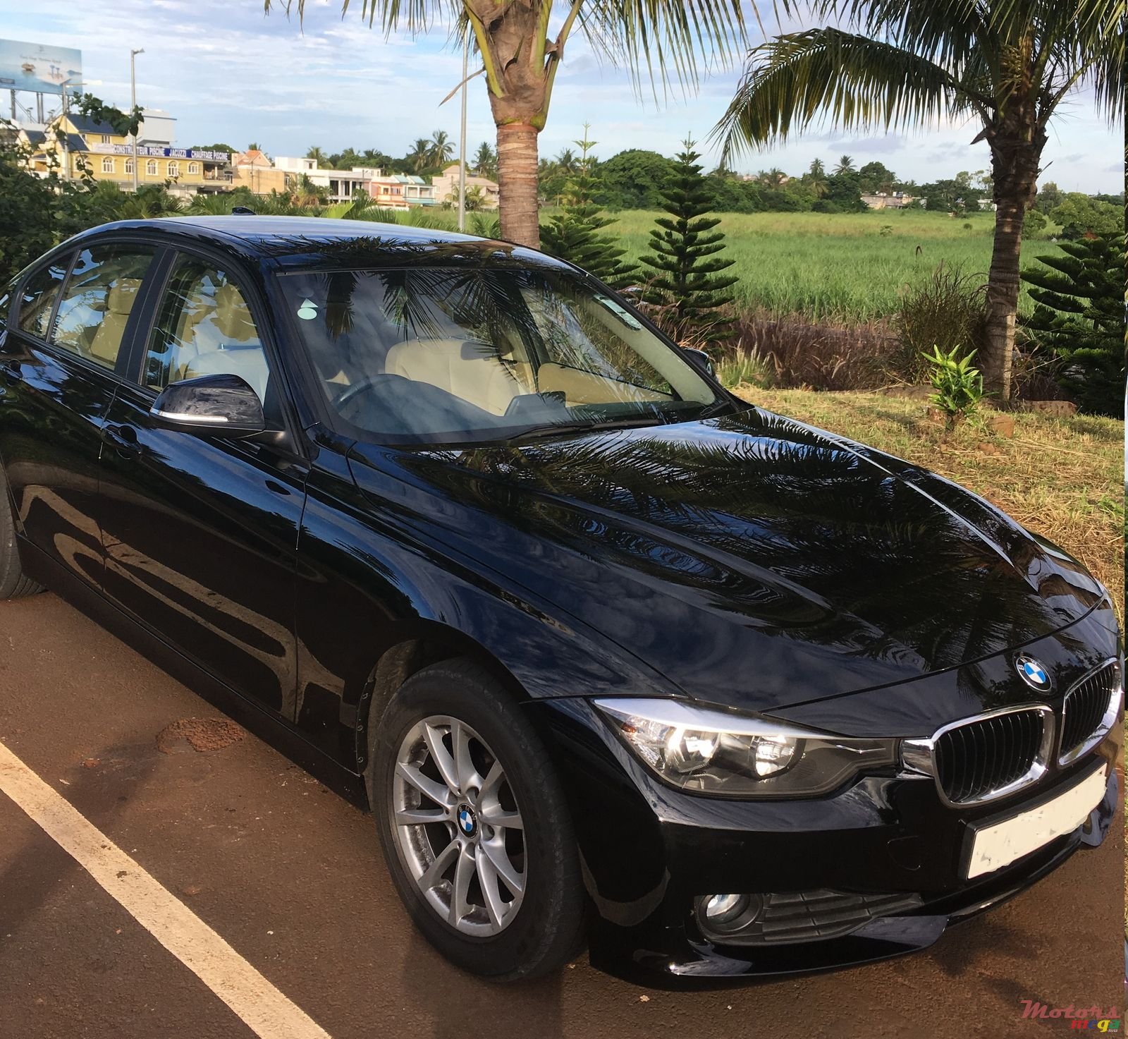 2013' BMW 3 Series 320 i photo #2