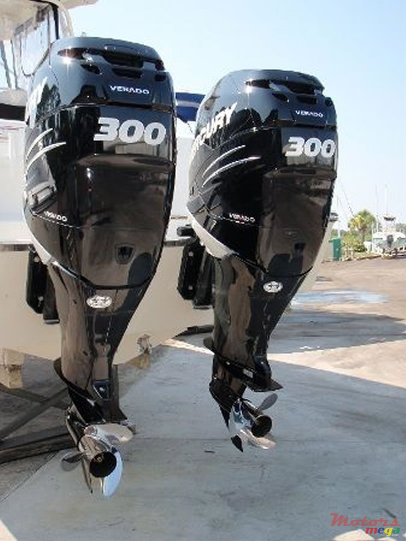 2009' Sea Triton 301XD photo #2