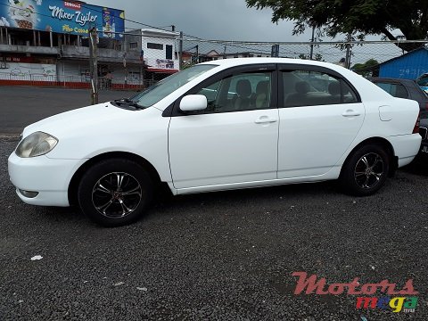 2002' Toyota Corolla NZE photo #4