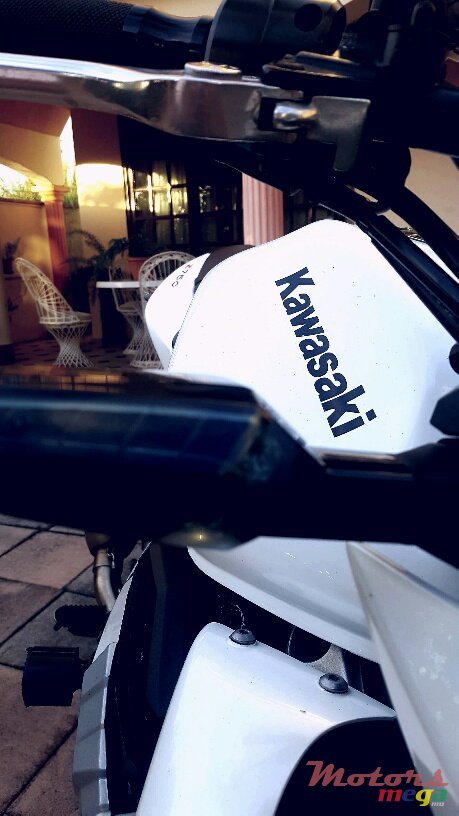 2010' Kawasaki photo #1