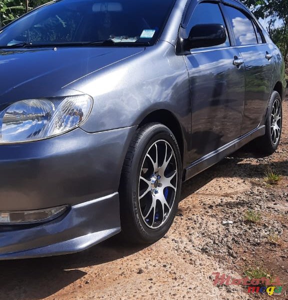 2002' Toyota Corolla Nze121 photo #4