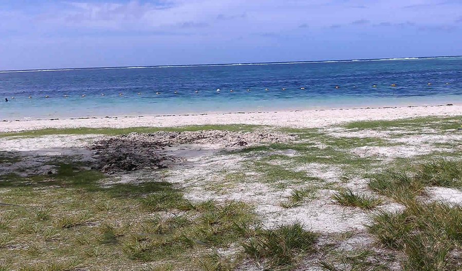 Palmar beach, Mauritius - Archive Photo