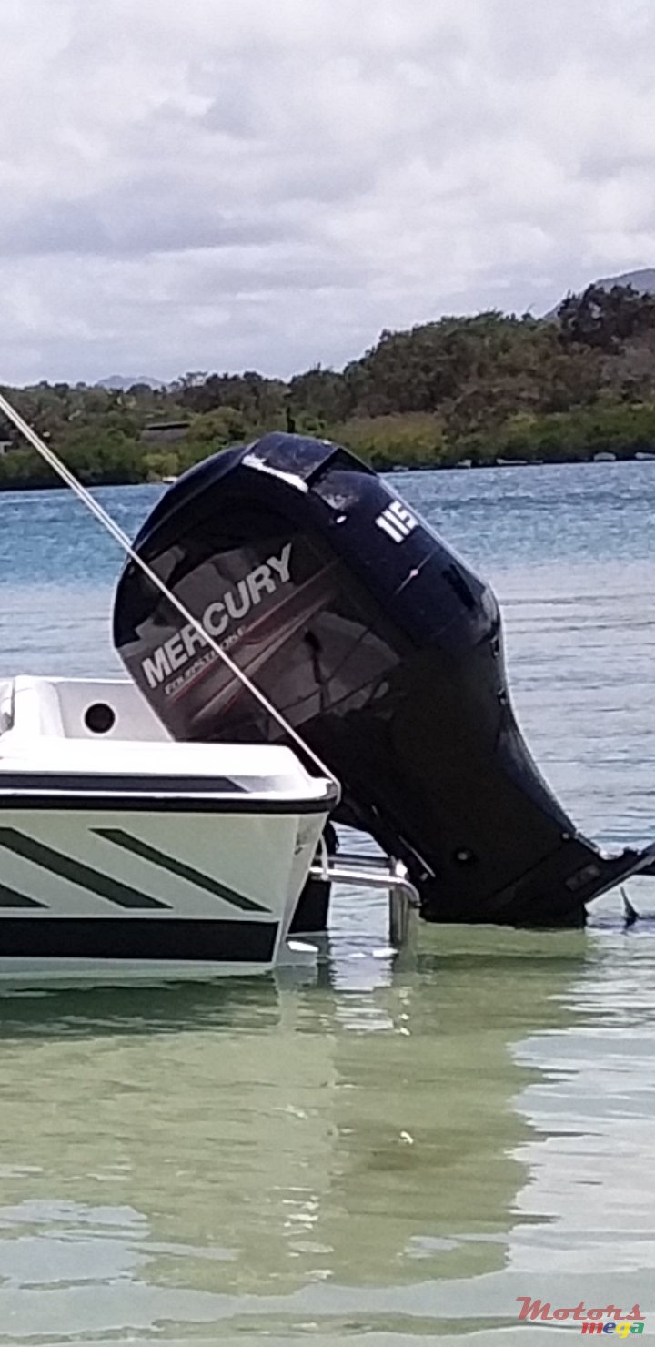 2013' Mercury photo #2