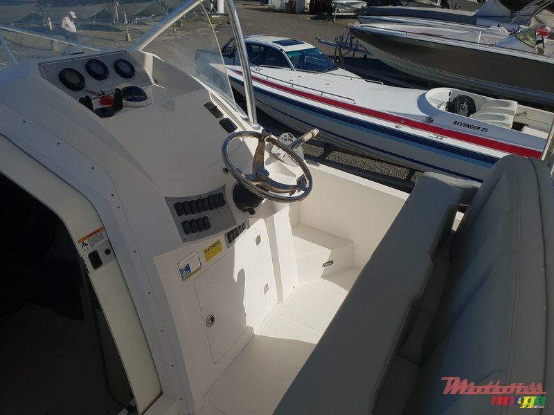 2012' Alena photo #6