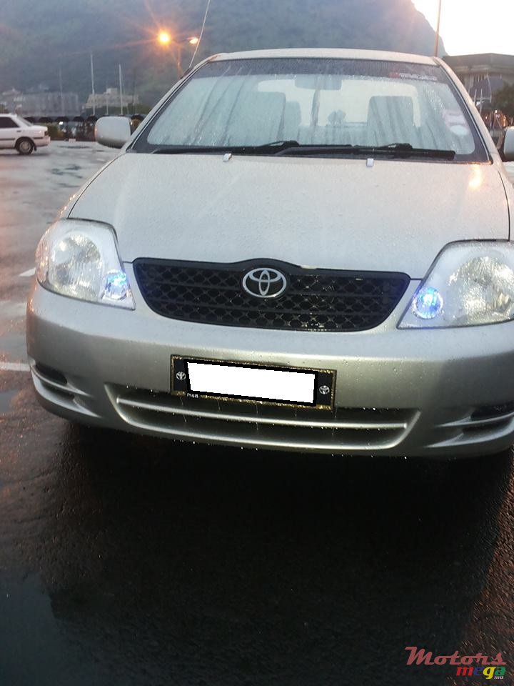 2001' Toyota Corolla NZE photo #1